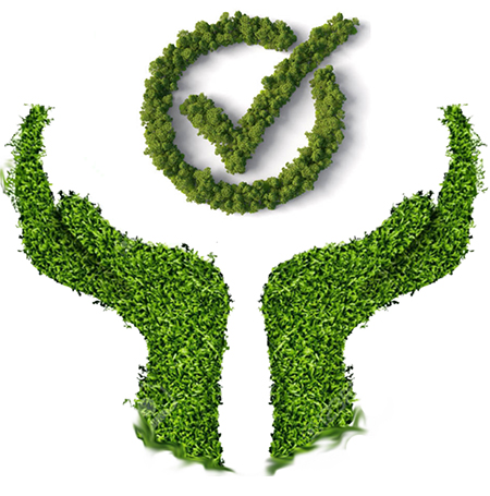 Environmental Policy